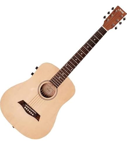 Amazon | Legend レジェンド ウエスタンギター WG-15 BS ケース付き